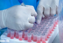 Nguy cơ xâm nhập biến chủng Omicron vào Việt Nam là rất lớn Nguy cơ xâm nhập biến chủng Omicron vào Việt Nam là rất lớn