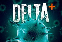 Biến thể phụ Delta Plus có làm tăng nguy cơ với người bệnh? Biến thể phụ Delta Plus có làm tăng nguy cơ với người bệnh?