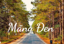 Măng Đen “hút khách” dịp nghỉ Tết Dương lịch 2024 Măng Đen “hút khách” dịp nghỉ Tết Dương lịch 2024