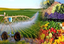 TÌNH TRẠNG PHÁP LÝ HOẠT ĐỘNG SẢN XUẤT - KINH DOANH NÔNG SẢN THỰC PHẨM  THEO LUẬT CỦA VIỆT NAM  TÌNH TRẠNG PHÁP LÝ HOẠT ĐỘNG SẢN XUẤT - KINH DOANH NÔNG SẢN THỰC PHẨM  THEO LUẬT CỦA VIỆT NAM