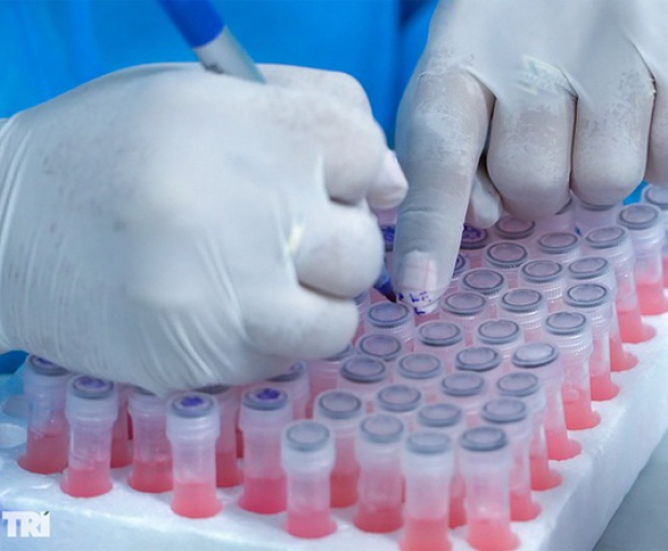 Nguy cơ xâm nhập biến chủng Omicron vào Việt Nam là rất lớn