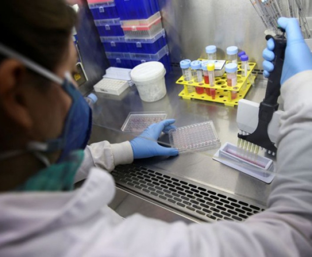 Phát hiện chất trong nọc độc rắn có thể ức chế SARS-CoV-2 sinh sôi