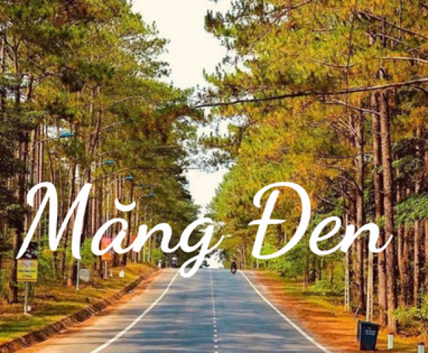 Măng Đen “hút khách” dịp nghỉ Tết Dương lịch 2024