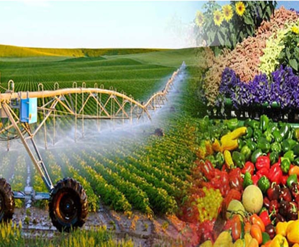 TÌNH TRẠNG PHÁP LÝ HOẠT ĐỘNG SẢN XUẤT - KINH DOANH NÔNG SẢN THỰC PHẨM  THEO LUẬT CỦA VIỆT NAM 