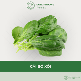 CẢI BÓ XÔI