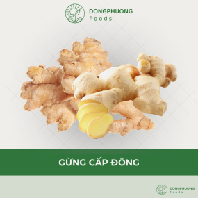 GỪNG CẤP ĐÔNG