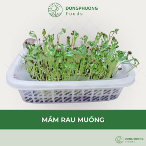 Mầm Rau muống 