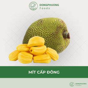 MÍT CẤP ĐÔNG