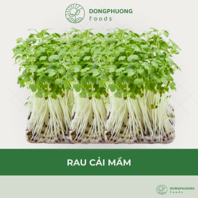 Rau Cải Mầm