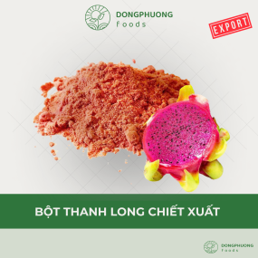 BỘT THANH LONG ĐỎ CHIẾT XUẤT