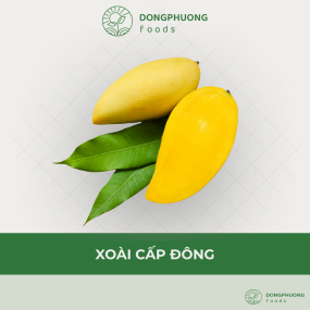 XOÀI CẤP ĐÔNG