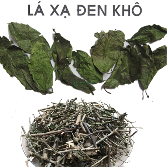 CÂY XẠ ĐEN KHÔ