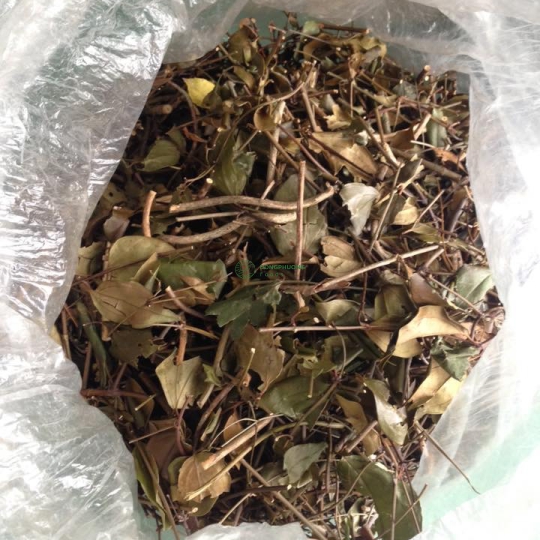 LÁ VẰNG KHÔ