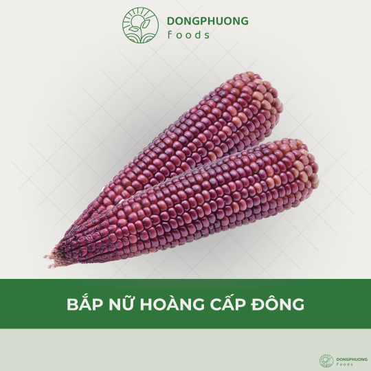 BẮP NỮ HOÀNG CẤP ĐÔNG