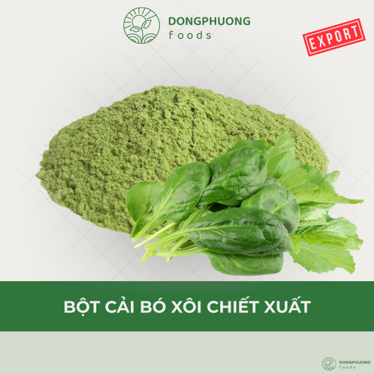 BỘT CẢI BÓ XÔI CHIẾT XUẤT