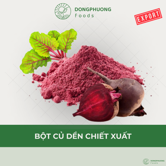 BỘT CỦ DỀN CHIẾT XUẤT