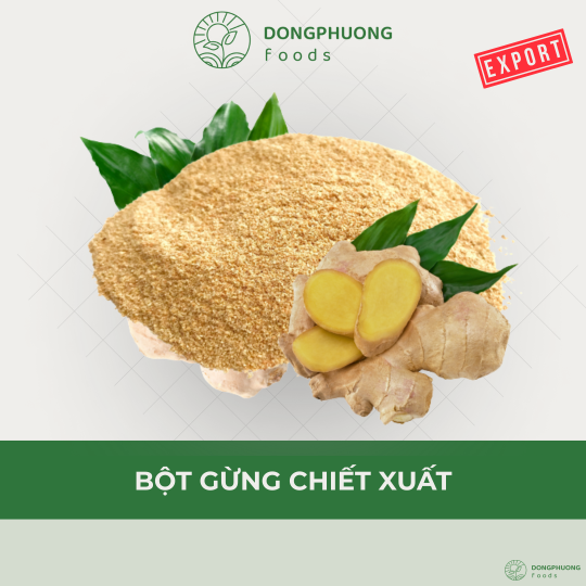 BỘT GỪNG CHIẾT XUẤT