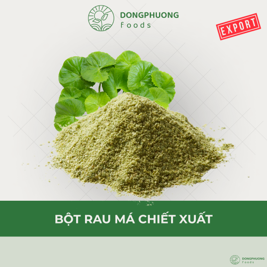 BỘT RAU MÁ CHIẾT XUẤT