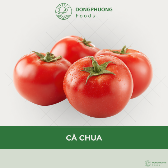Cà chua