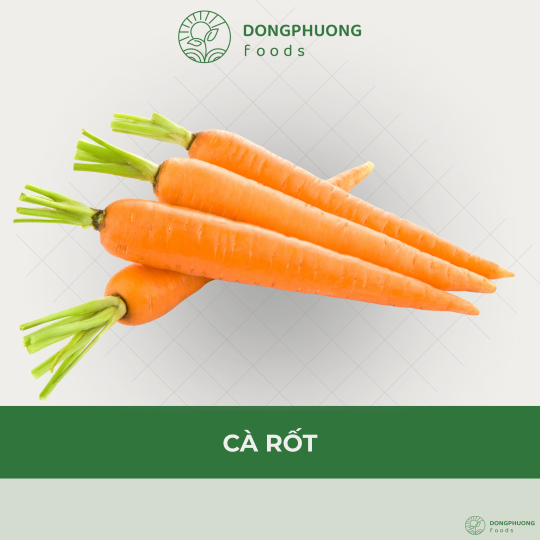 Cà Rốt