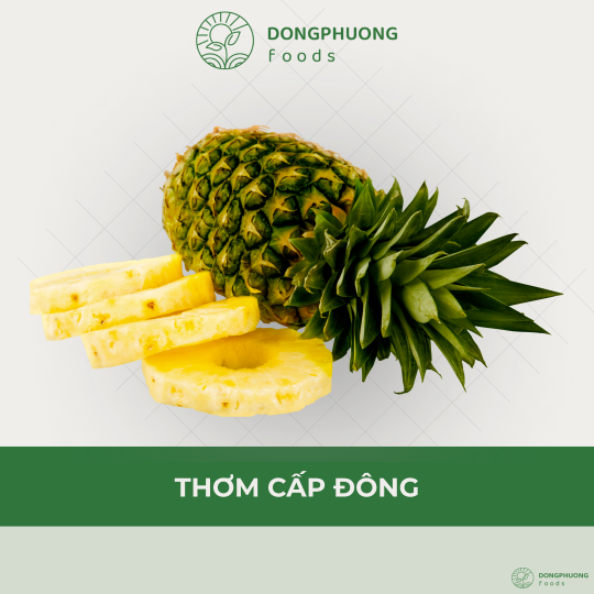 DỨA (THƠM) CẤP ĐÔNG 