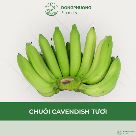 CHUỐI CAVENDISH TƯƠI