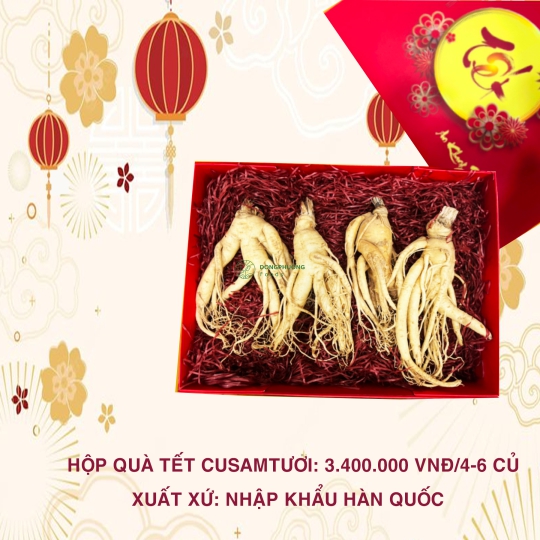 HỘP QUÀ TẾT CỦ SÂM TƯƠI HÀN QUỐC (4-6 CỦ/KG)