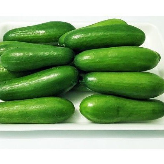 Dưa Leo BaBy (500gr)