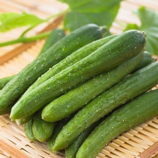 Dưa Leo Dài Giống Hà Lan (500gr)