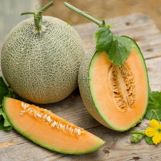 Dưa lưới Oval Nhật (1kg)