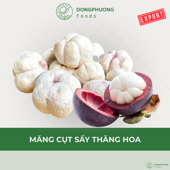 MĂNG CỤT SẤY THĂNG HOA 
