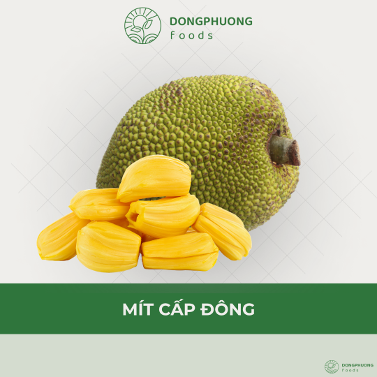 MÍT CẤP ĐÔNG