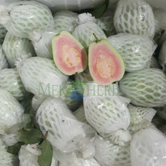 ỔI TƯƠI 