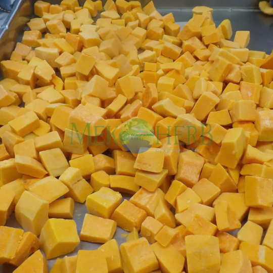 BÍ ĐỎ CẤP ĐÔNG