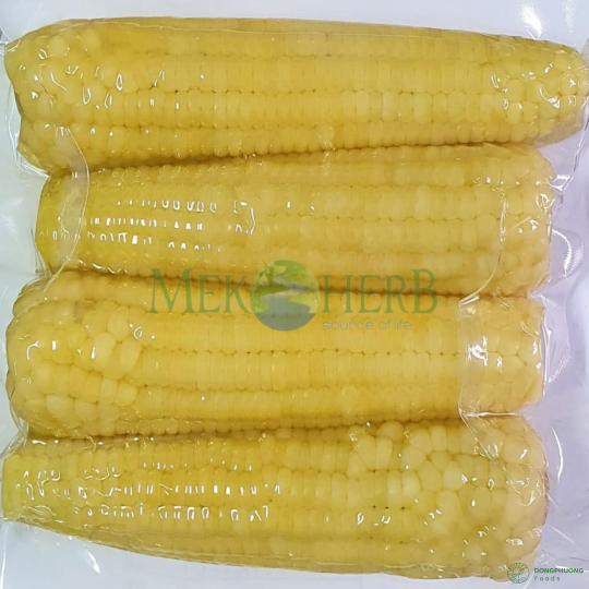 BẮP MỸ CẤP ĐÔNG