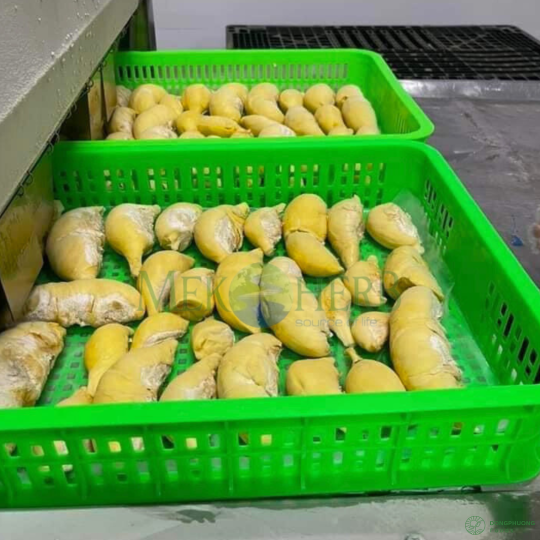 SẦU RIÊNG CẤP ĐÔNG