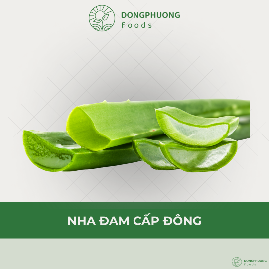NHA ĐAM ĐÔNG LẠNH