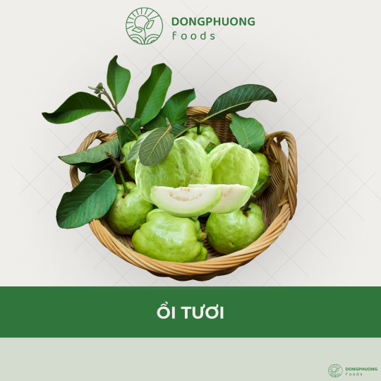 ỔI TƯƠI 