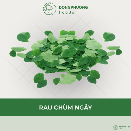 RAU CHÙM NGÂY