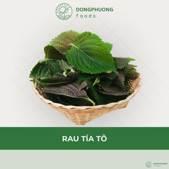 RAU TÍA TÔ