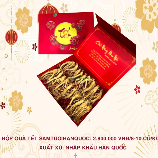 HỘP QUÀ TẾT SÂM TƯƠI HÀN QUỐC (8-10 CỦ/KG)