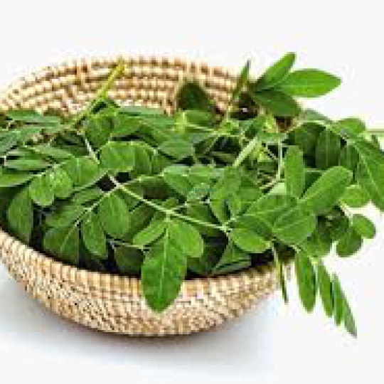 Rau Chùm Ngây (200gr)
