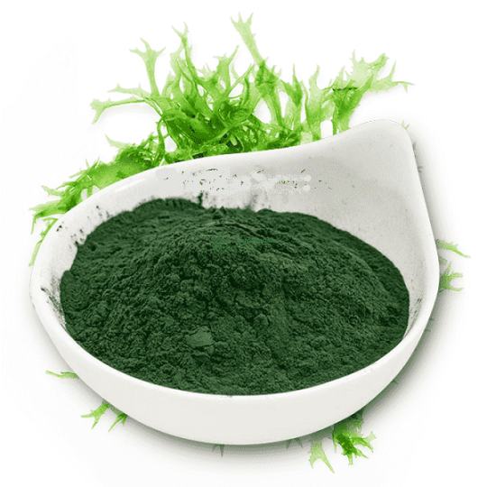 Tảo xoắn (tảo Spirulina) dạng bột, viên nang, viên nén