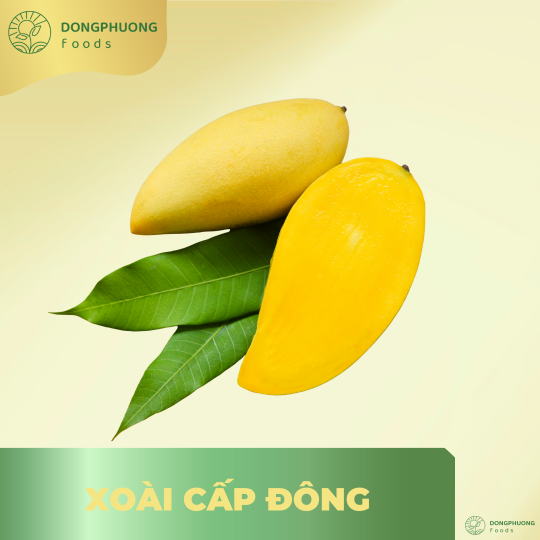XOÀI CẤP ĐÔNG