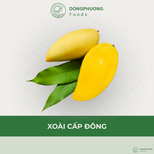 XOÀI CẤP ĐÔNG