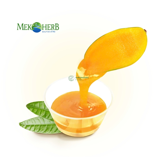 NƯỚC ÉP XOÀI CÔ ĐẶC