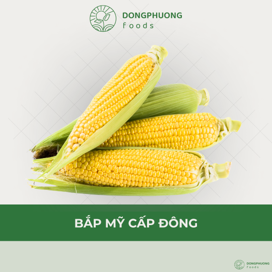 BẮP MỸ CẤP ĐÔNG