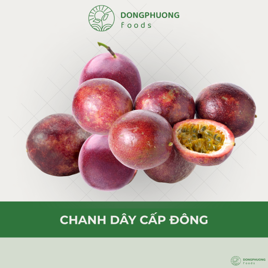 CHANH DÂY CẤP ĐÔNG