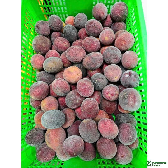 CHANH DÂY CẤP ĐÔNG