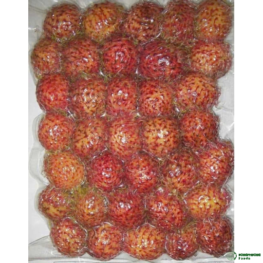 CHÔM CHÔM CẤP ĐÔNG 